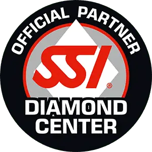 SSI Diamond Center Logo