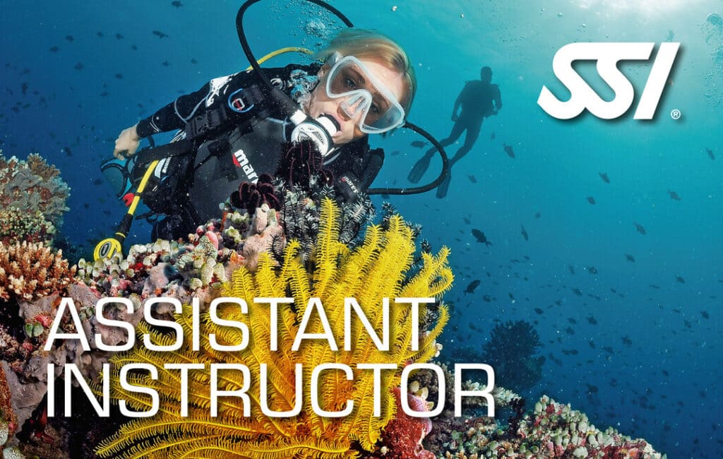 SSI Assistant Instructor Certificate