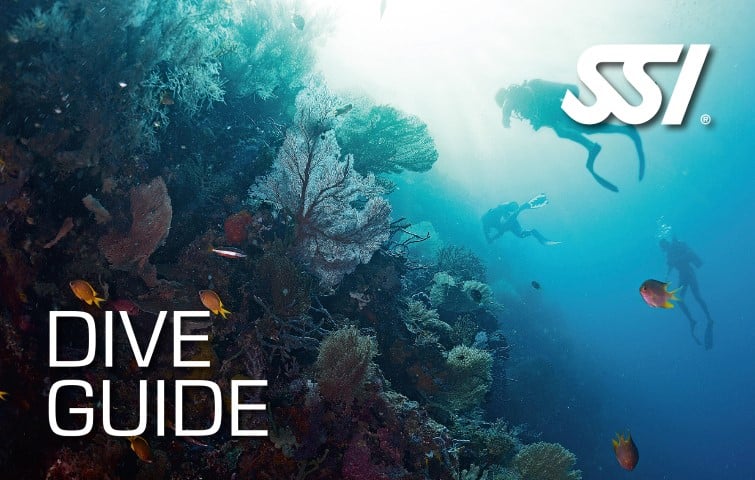 SSI Dive Guide Zertifikation