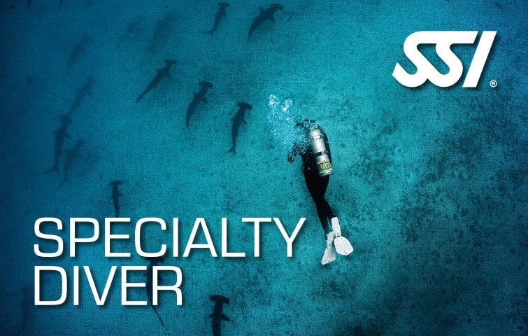 Specialty Diver Zertifikation