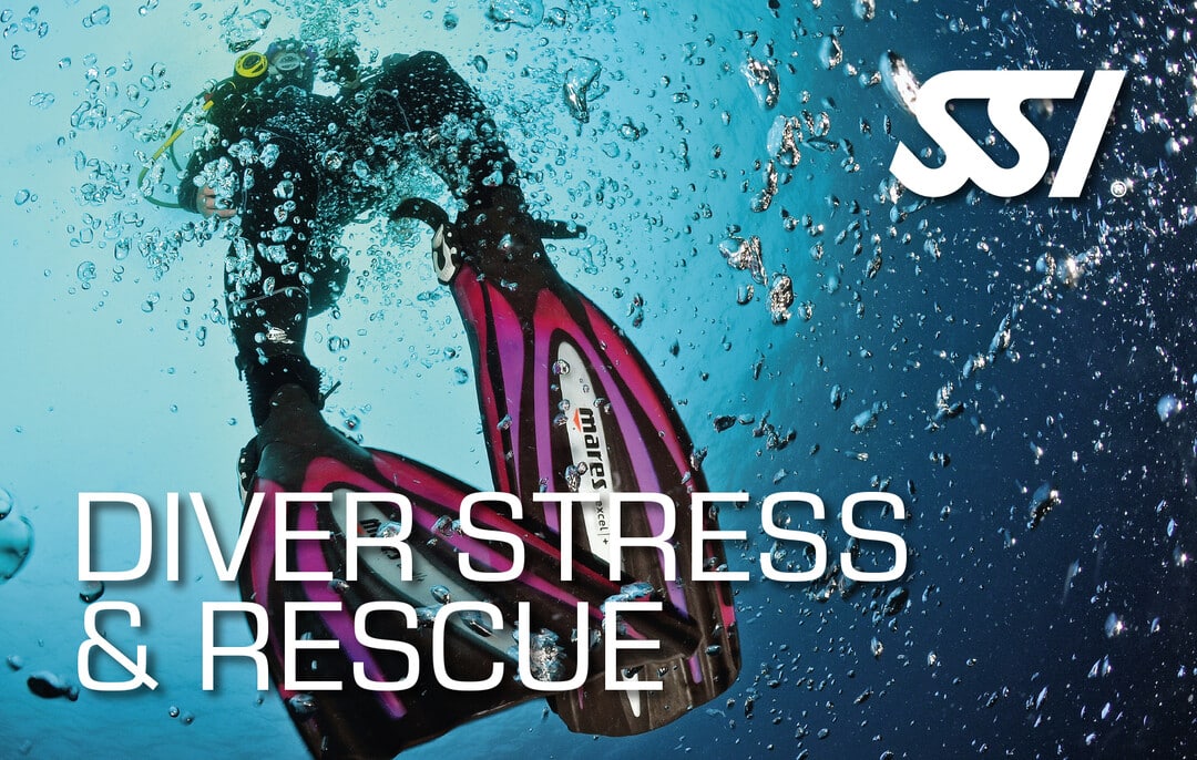 Stress & rescue Diver Zertifikation