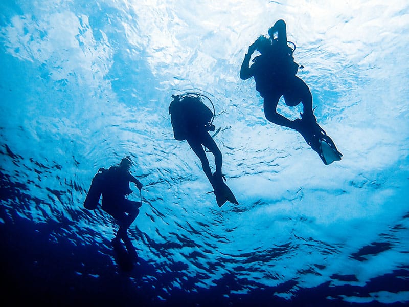 After booking the diving packages, the divers are ready for their descent.