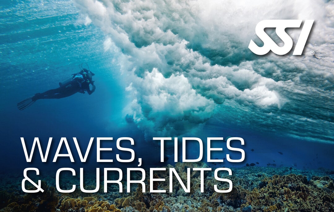 SSI Wave, Tides and Currents Zertifikation