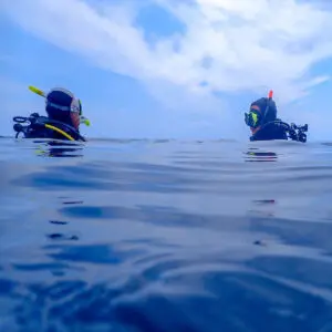 Basic Diver